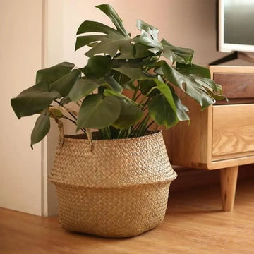 Auro™ Wicker Rattan Basket — Natural Hanging Storage with Coastal Charm.